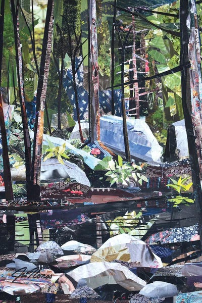 Jim Nonas: Harriman Hike I by Jim Nonas