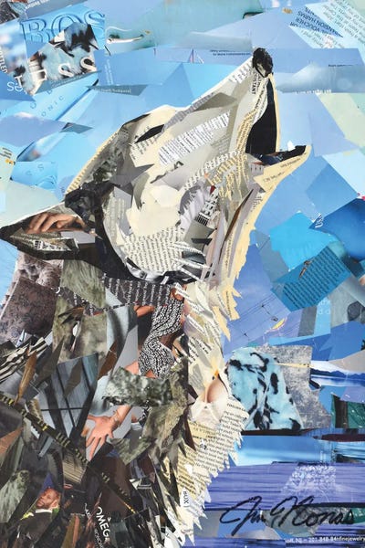 Jim Nonas: Howl by Jim Nonas