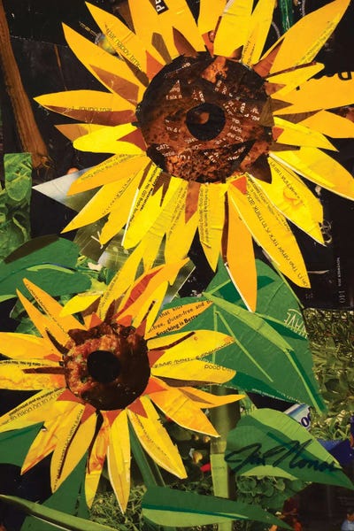Fine Art Print: Pair Of Sunflowers by Jim Nonas