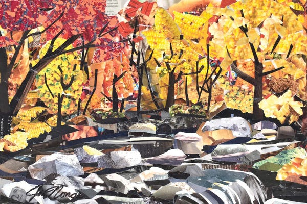 Jim Nonas: Skip Rocks Falls by Jim Nonas