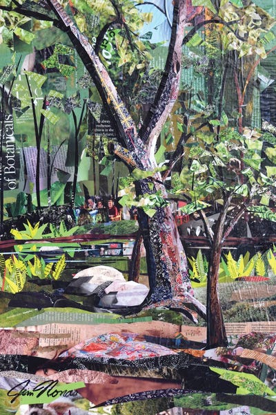 Fine Art Print: Arboretum by Jim Nonas