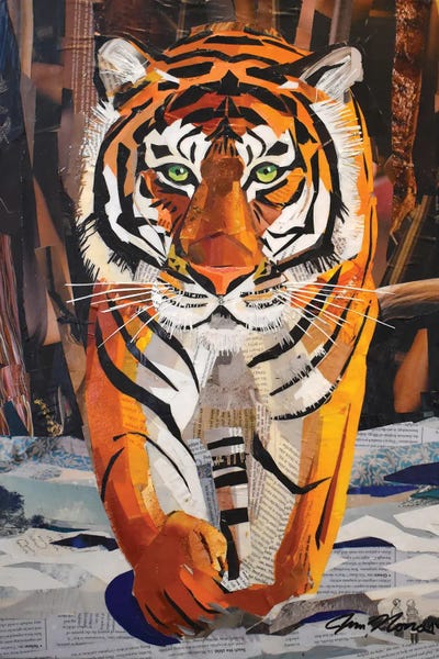 Jim Nonas: Tiger by Jim Nonas