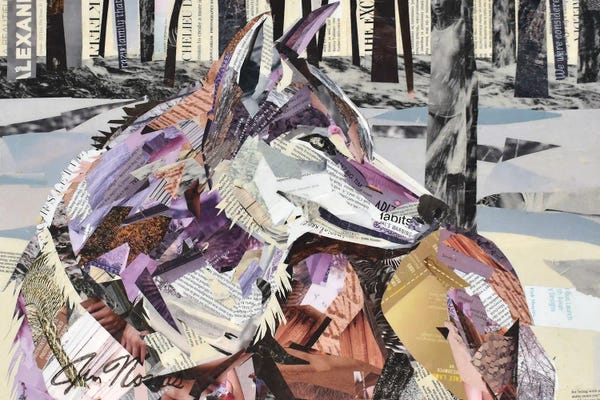 Jim Nonas: Wolf by Jim Nonas