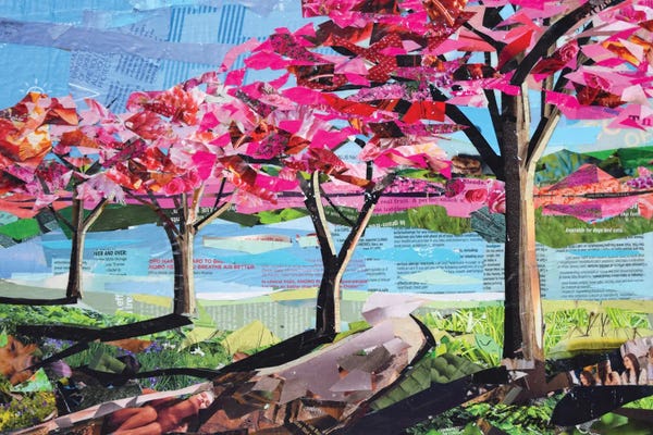 Cherry Blossoms: Blossoms By The Lake by Jim Nonas