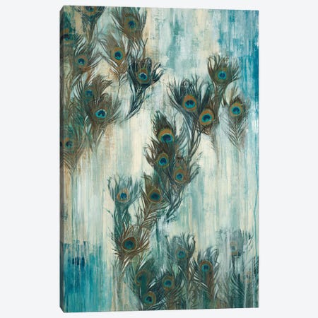 Proud As A Peacock Canvas Print #JAR100} by Liz Jardine Canvas Art