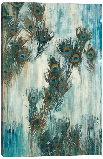 Proud As A Peacock Canvas Art Print - Liz Jardine