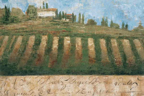 Vineyards: Rustic Tuscany by Liz Jardine