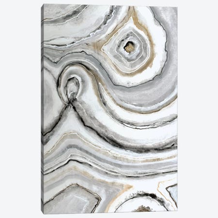 Shades Of Gray I Canvas Print #JAR106} by Liz Jardine Art Print