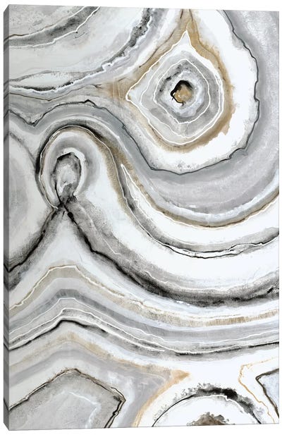 Shades Of Gray I Canvas Art Print - Liz Jardine