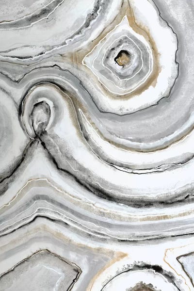 Shades Of Gray I Canvas Artwork by Liz Jardine iCanvas