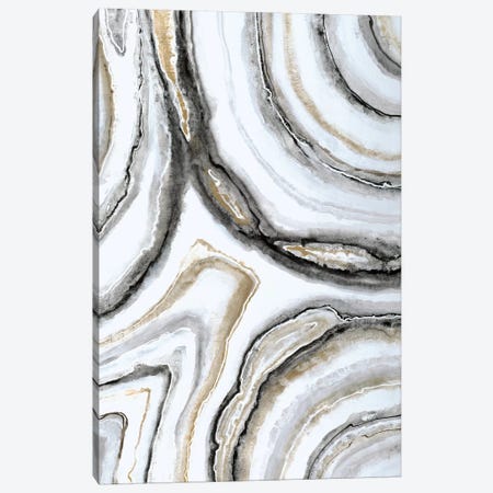 Shades Of Gray II Canvas Print #JAR107} by Liz Jardine Canvas Art Print