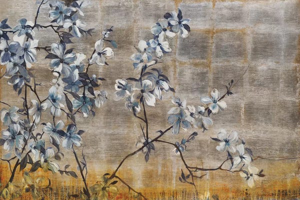 Dogwood Trees: Silver Dogwood by Liz Jardine