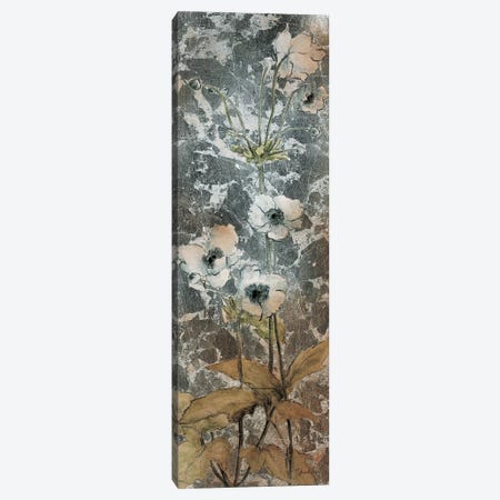Slender Blossoms II Canvas Print #JAR114} by Liz Jardine Canvas Wall Art