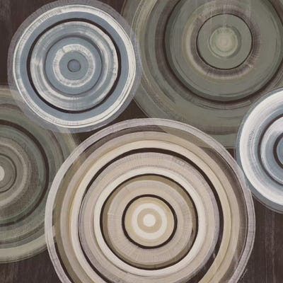 Spin Cycle by Liz Jardine art print