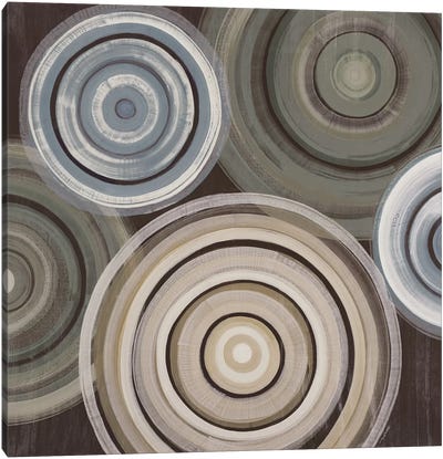 Spin Cycle Canvas Art Print