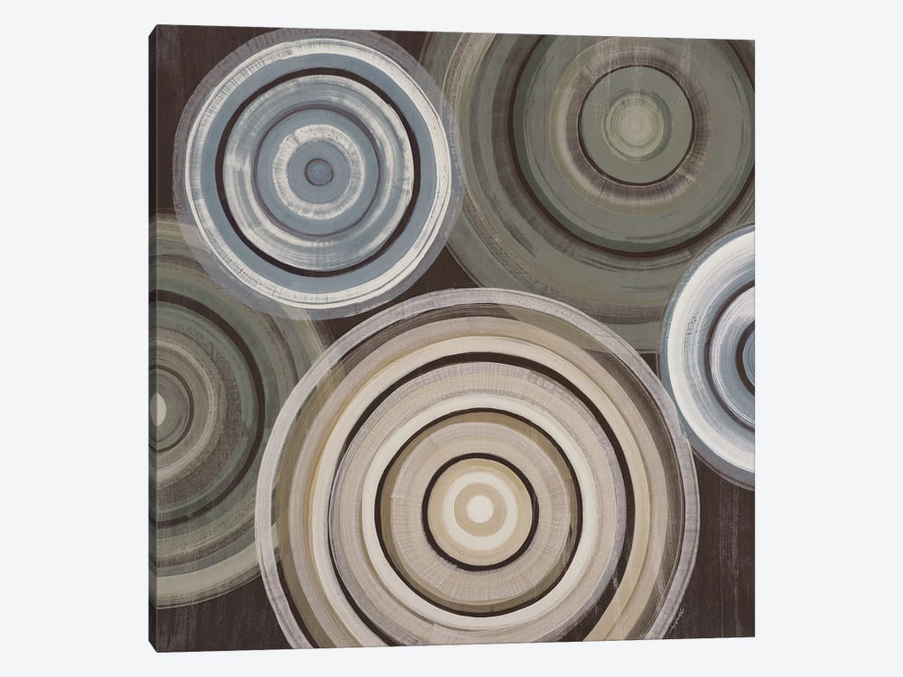 Spin Cycle by Liz Jardine 1-piece Canvas Art