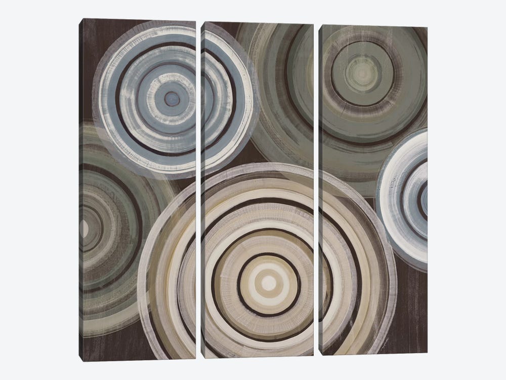 Spin Cycle by Liz Jardine 3-piece Canvas Wall Art