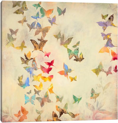 All Aflutter Canvas Art Print - Butterfly Art