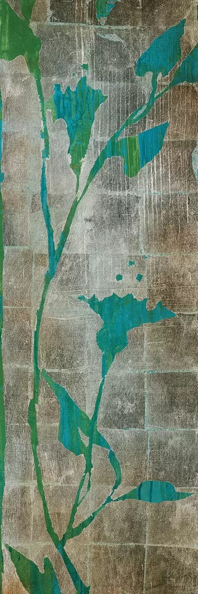 Transparent Leaves I by Liz Jardine framed canvas print