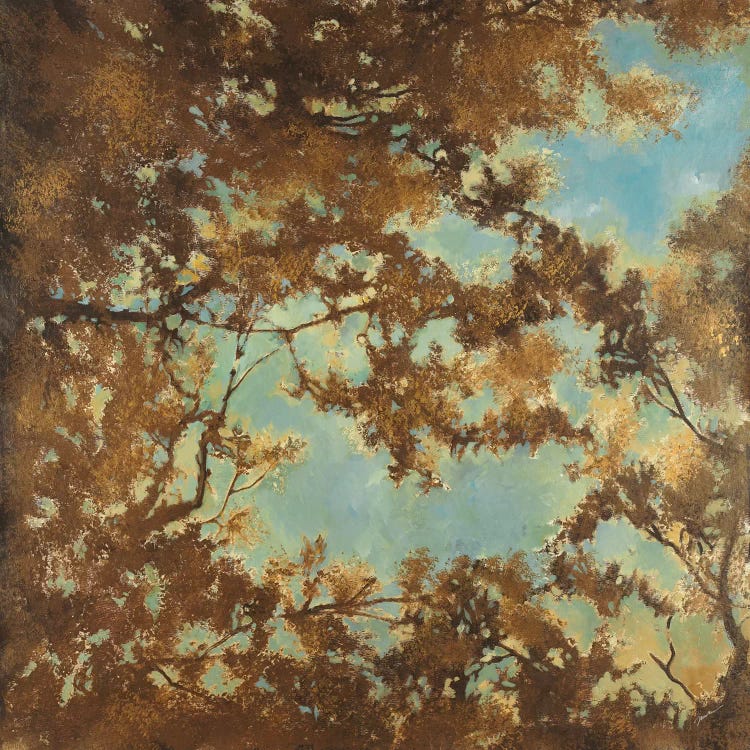 Tree Canopy by Liz Jardine wall art