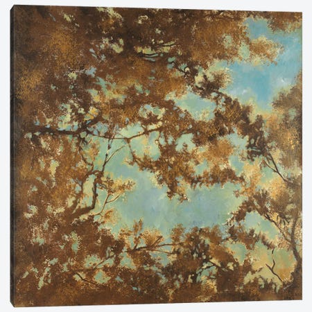 Tree Canopy Canvas Print #JAR124} by Liz Jardine Canvas Art Print