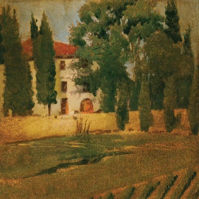 Trip Around The World II by Liz Jardine framed wall art