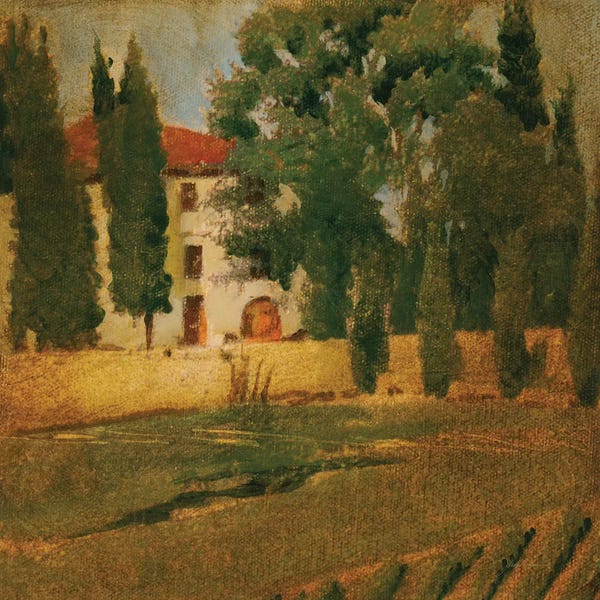 Vineyards: Trip Around The World II by Liz Jardine