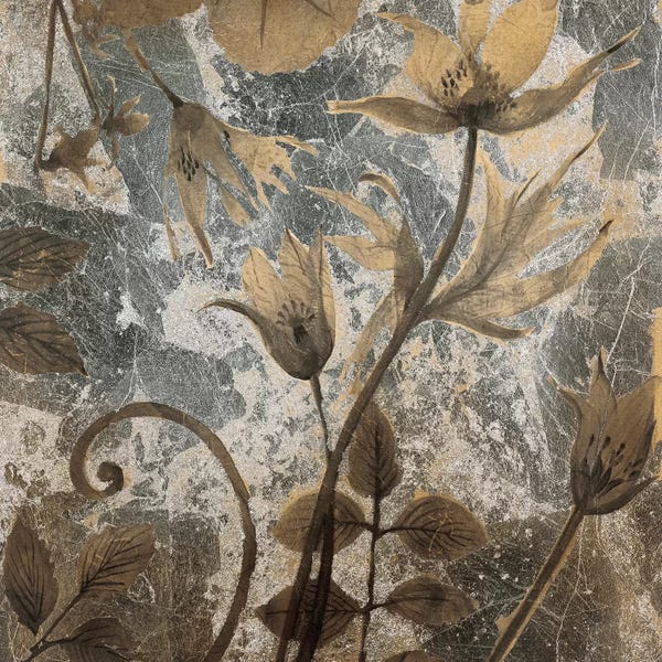 Liz Jardine: Underwater Botanicals I by Liz Jardine