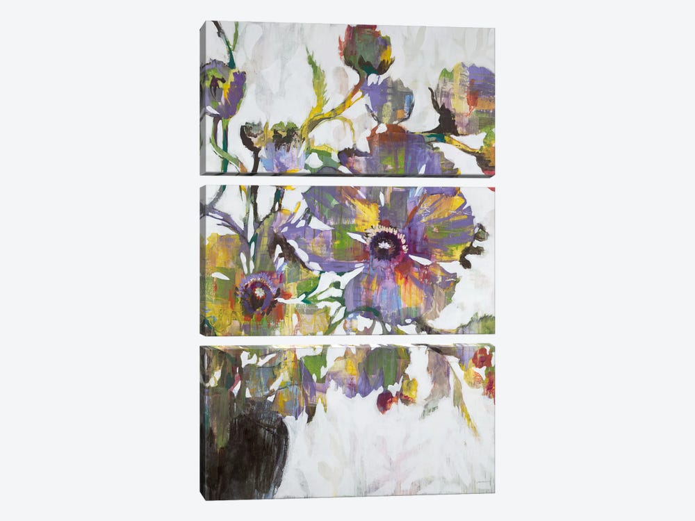 Vivid Poppies by Liz Jardine 3-piece Canvas Art Print