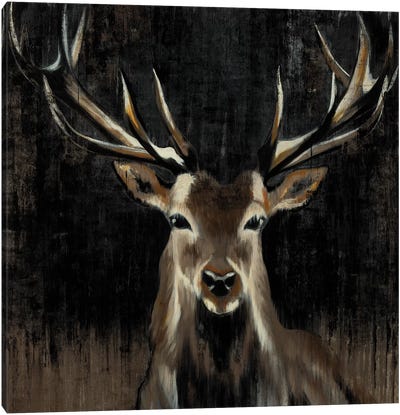 Young Buck Canvas Art Print - Brown Art