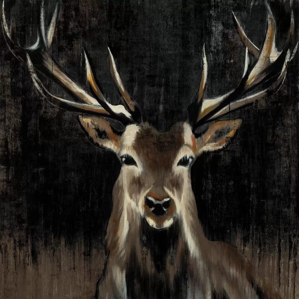 Cabin & Lodge Décor: Young Buck by Liz Jardine