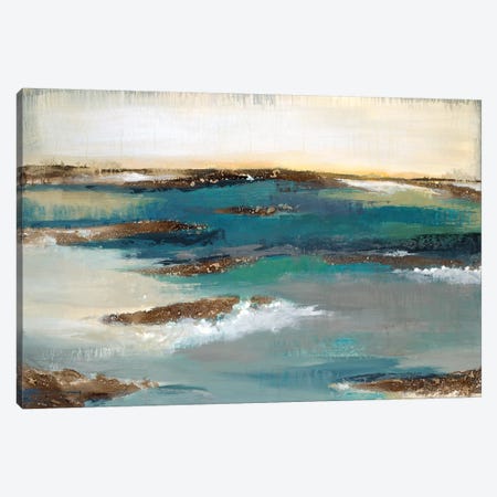 Coastal Bluff Canvas Print #JAR141} by Liz Jardine Canvas Art