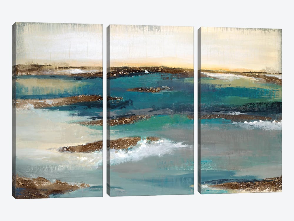 Coastal Bluff by Liz Jardine 3-piece Canvas Art
