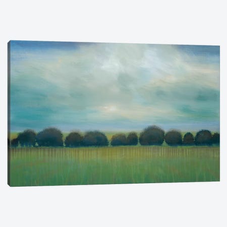 Greener Pastures Canvas Print #JAR143} by Liz Jardine Canvas Art