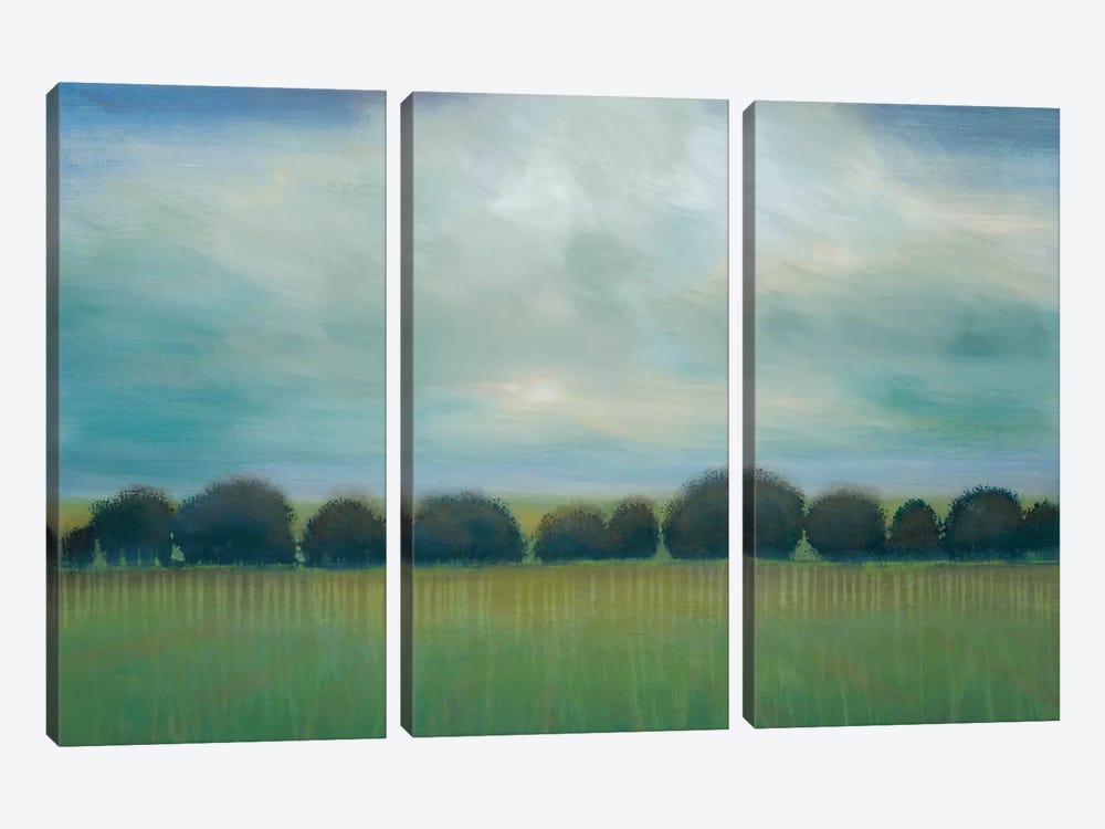 Greener Pastures by Liz Jardine 3-piece Canvas Art