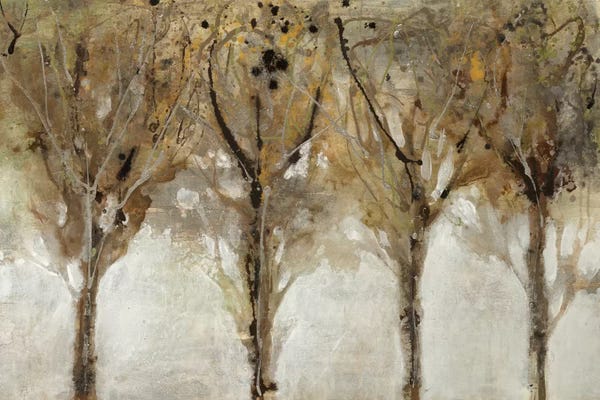 Tan: Seeing The Light by Liz Jardine