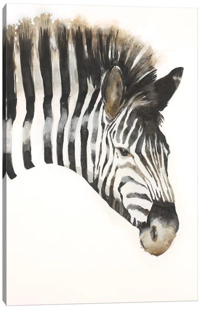 Zebra Stripes Canvas Art Print