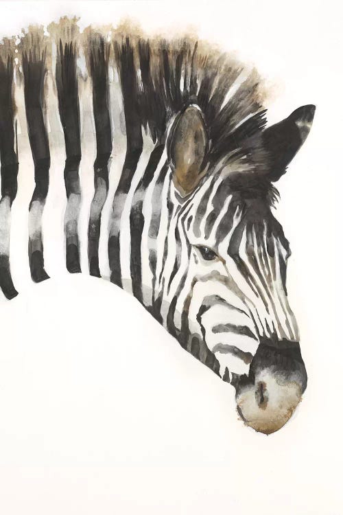 Zebra Stripes