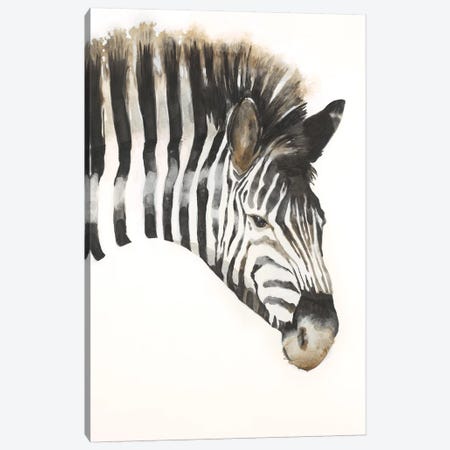 Zebra Stripes Canvas Print #JAR184} by Liz Jardine Art Print