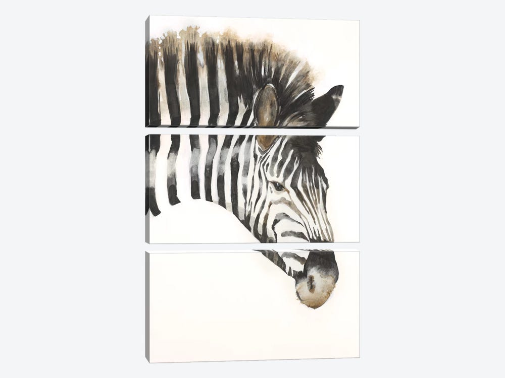 Zebra Stripes by Liz Jardine 3-piece Canvas Print