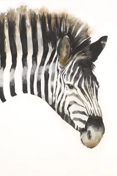 Famous Palaces & Residences: Zebra Stripes by Liz Jardine