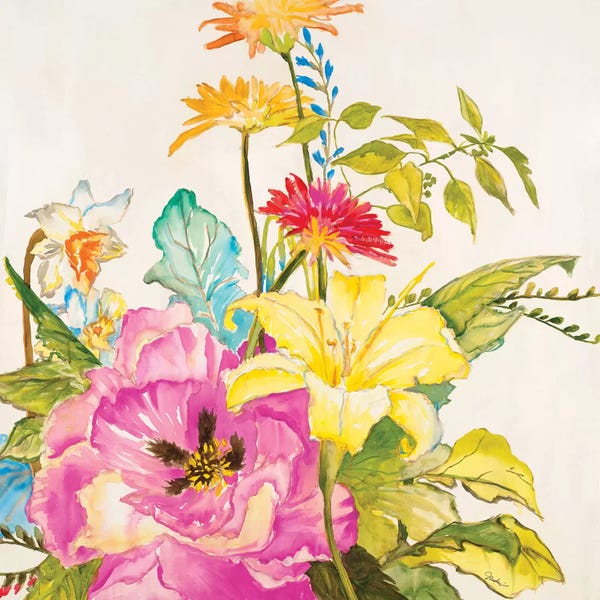 Hibiscuses: A Brilliant New Day by Liz Jardine