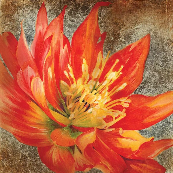 Liz Jardine: Antique Botanicals I by Liz Jardine