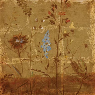 Golden Dawn II by Liz Jardine canvas print