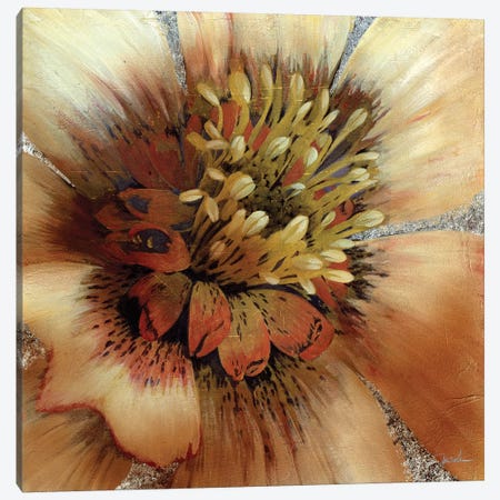 Silver Botanicals III Canvas Print #JAR236} by Liz Jardine Canvas Art Print