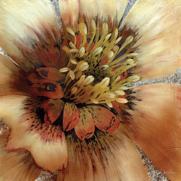Liz Jardine: Silver Botanicals III by Liz Jardine