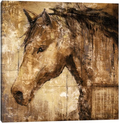 Cavalier Canvas Art Print - Horse Art