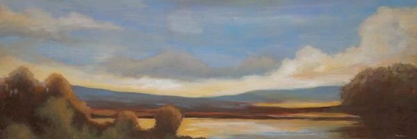 Liz Jardine: Somewhere in The Distance by Liz Jardine