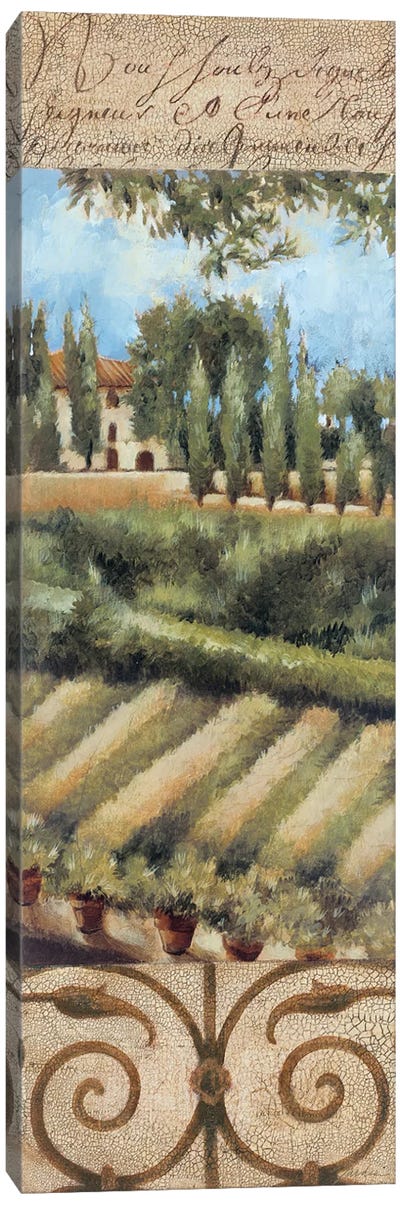 Tuscany Villa I Canvas Art Print - Tuscany Art