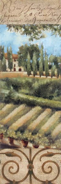 Kitchen: Tuscany Villa I by Liz Jardine